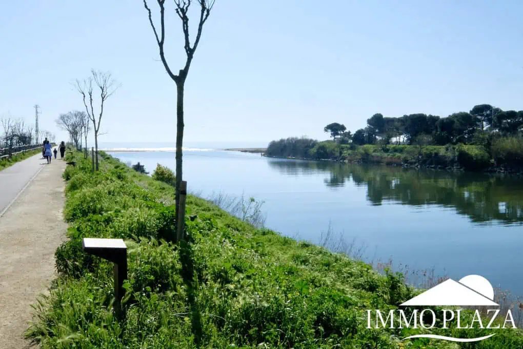 Vue mer et riviere appartement de 60m2 avec une belle terrasse, exposé sud ! Débaras inclus.