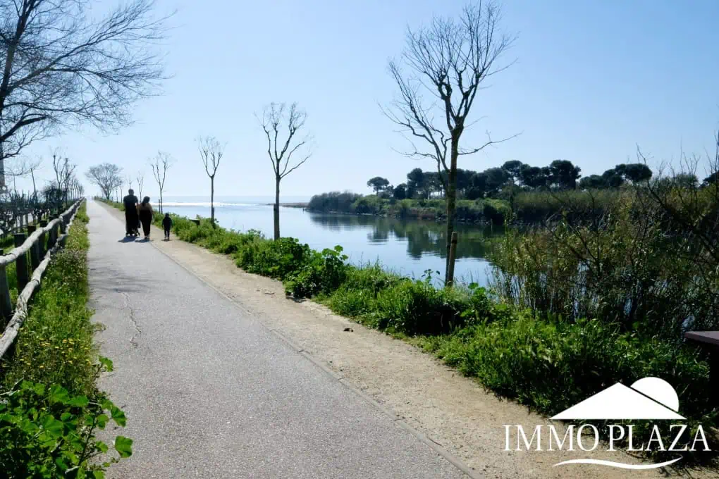Vue mer et riviere appartement de 60m2 avec une belle terrasse, exposé sud ! Débaras inclus.