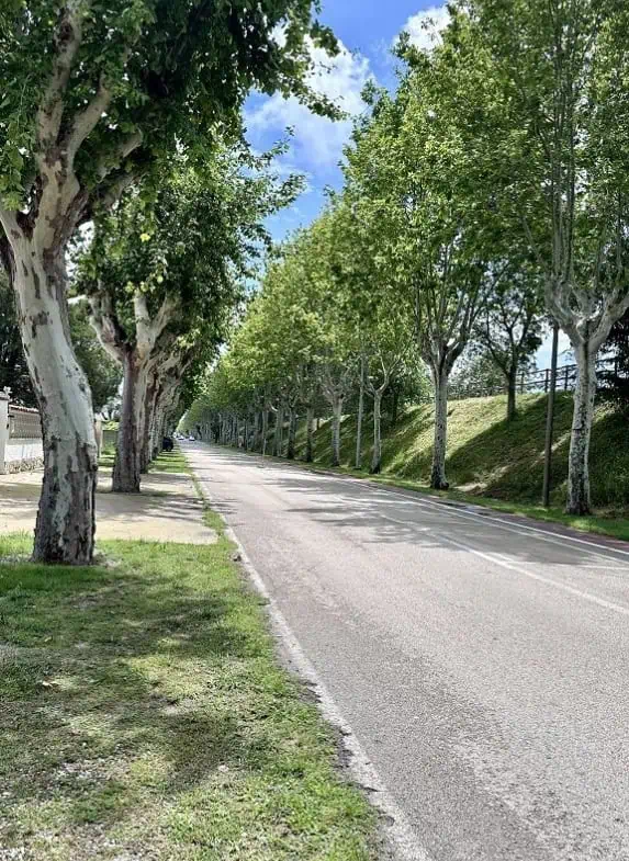 Grande villa avec Lic. Tourist. ! exposée sud ; 4 chambres, 3 salles d’eau, 1 cuisine d’été, piscine (25m2)