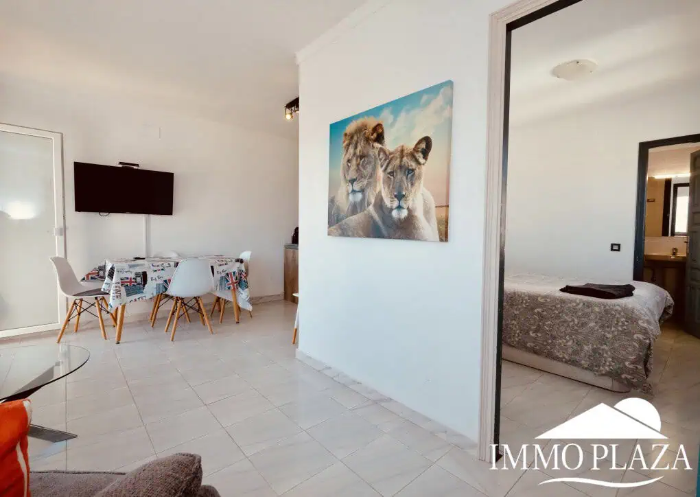 Bright corner apartment with sea and harbor views ! 1 bedroom, 1 bathroom with toilet, terrace