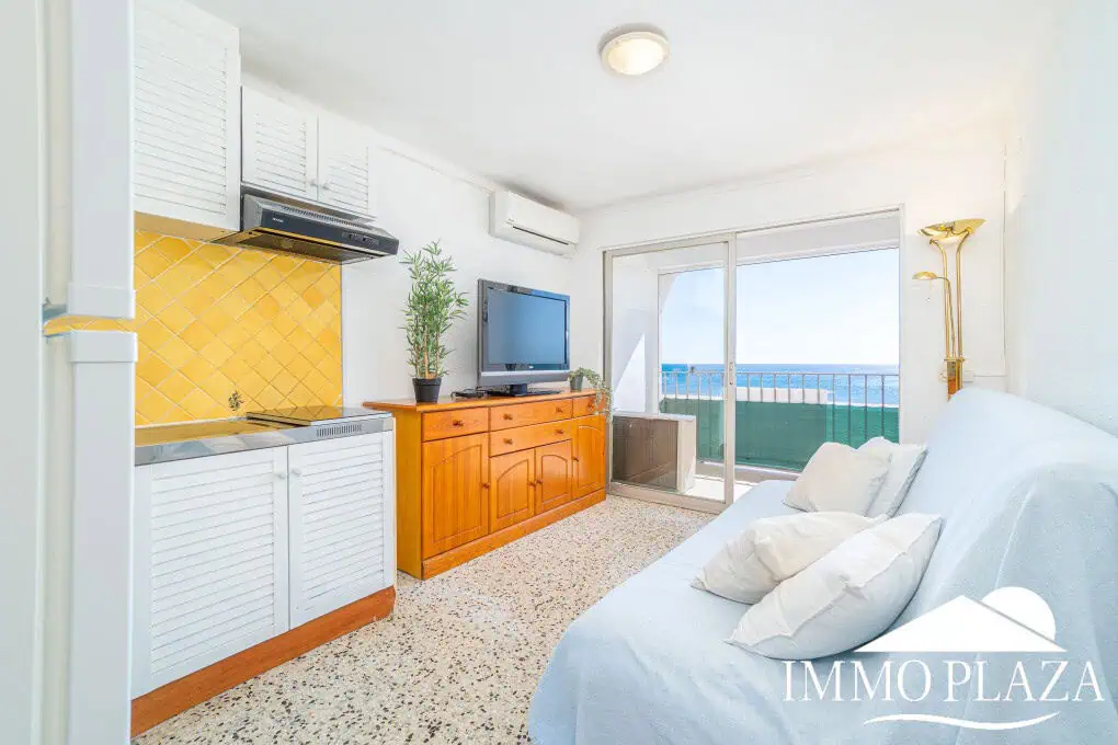 1er ligne de mer studio avec alcove, grande terrasse et climatisation sur la plage de Empuriabrava