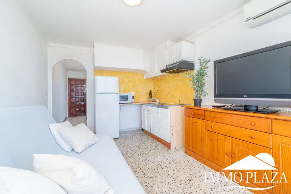 1er ligne de mer studio avec alcove, grande terrasse et climatisation sur la plage de Empuriabrava