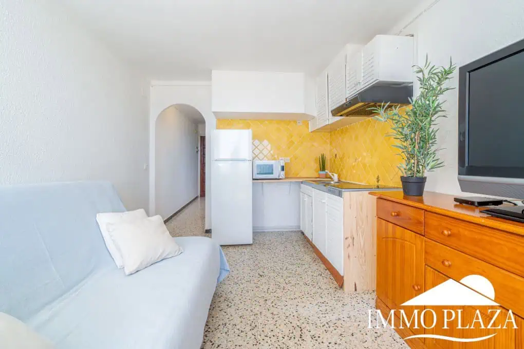 1er ligne de mer studio avec alcove, grande terrasse et climatisation sur la plage de Empuriabrava