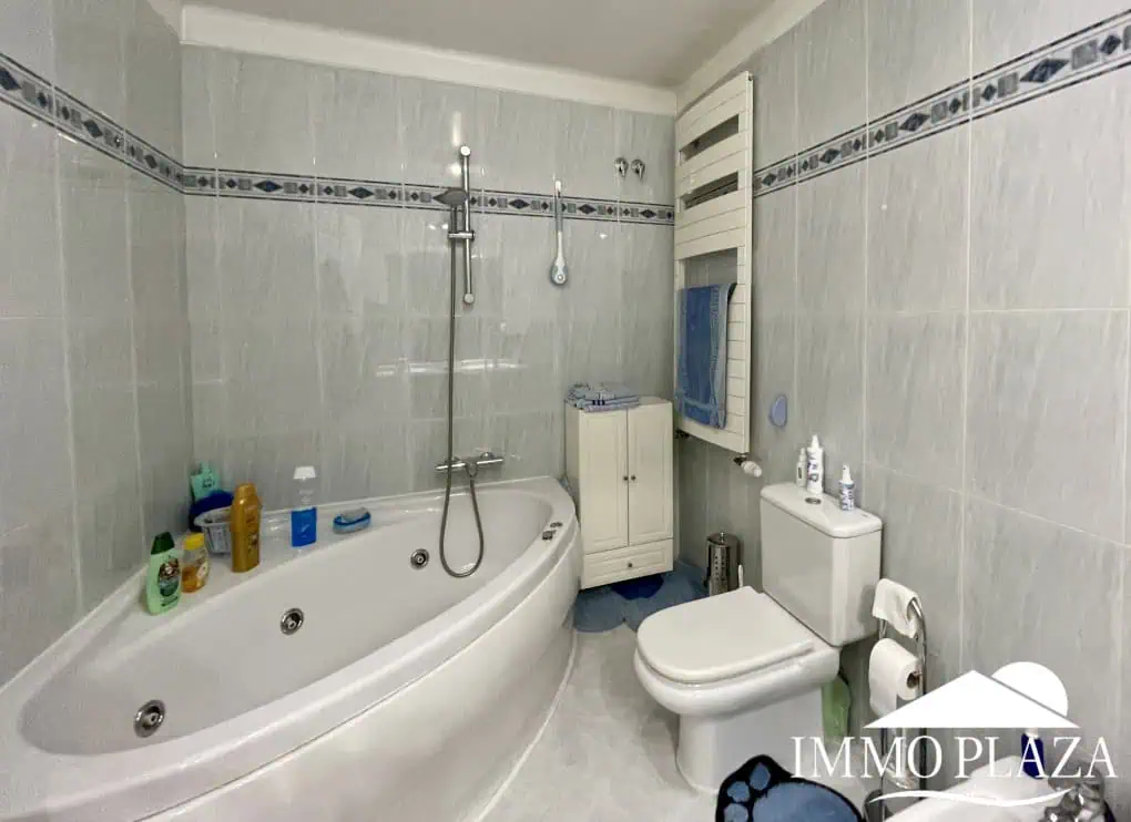 2 spacious canal villas divided into 4 apartments on 900m2 of land, garage, 24m mooring, 32m2 heated swimming pool, 6 parking spaces