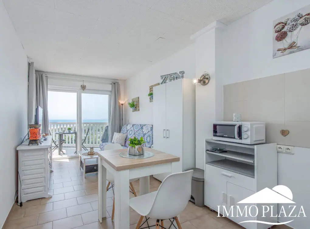 Pretty studio, completely renovated, with a beautiful sea view terrace, next to the beach and shops – Empuriabrava