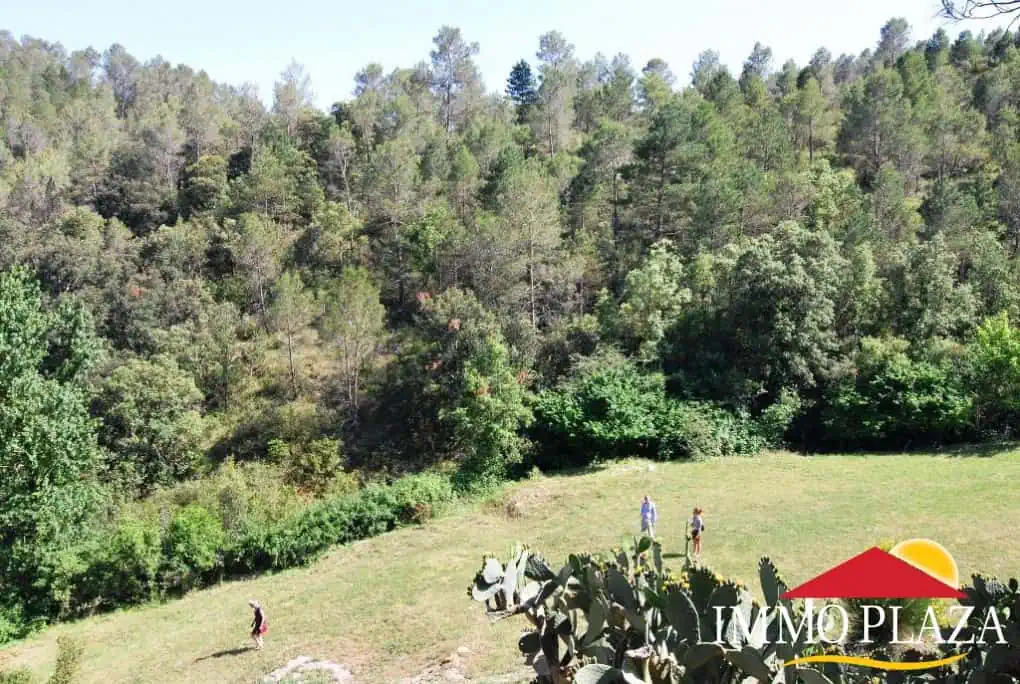 Idyllic valley with ruin, three wells and swimming pool, ideal for camping – Sant Llorenc de la Muga – photo 3