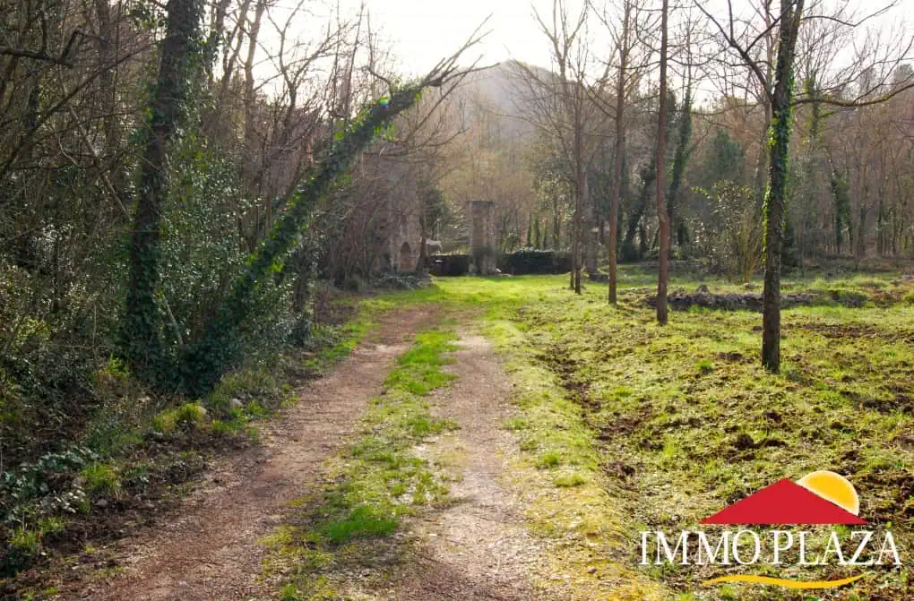 Beautifully restored farmhouse with American walnut orchard – Sant Llorenc de la Muga – photo 4