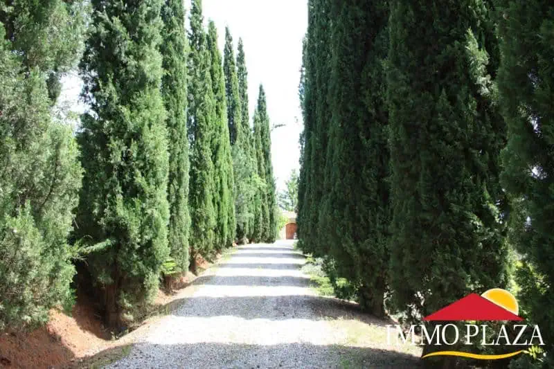Masia of the XVIe century completely renovated with 5 bedrooms, swimming pool – Llado – Alt Emporda – Costa Brava – photo 8