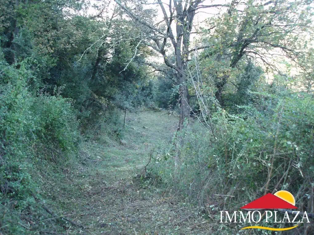 Beautiful property with exceptional views, 35 km from the Bay of Roses – Alt Emporda – photo 5