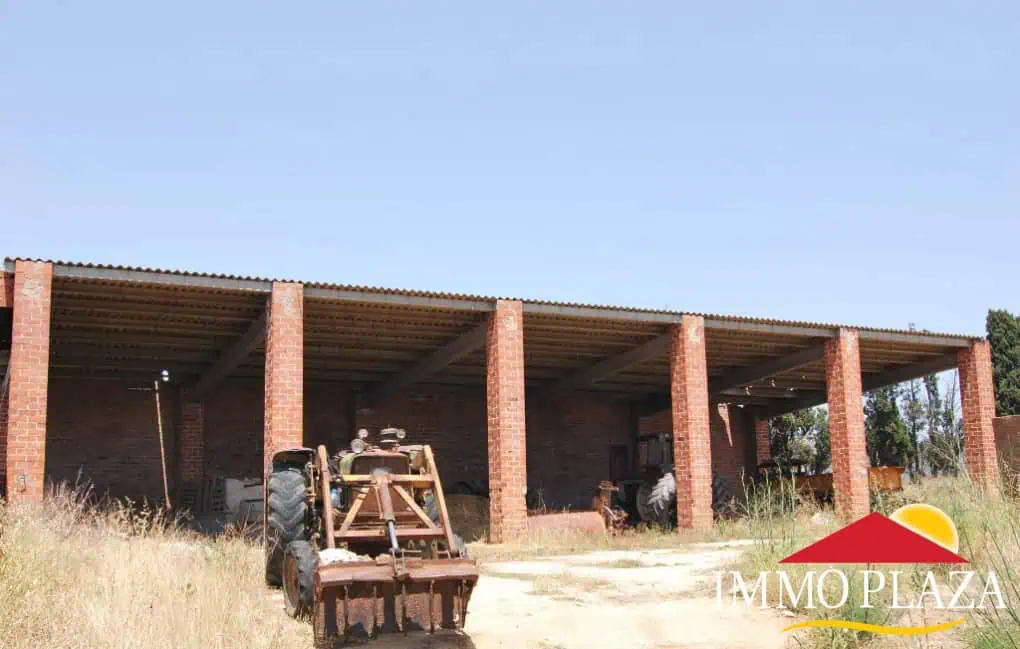 Masia Cal Fray: Farm situated in the Natural Park of Aiguamolls – Castello d’Emporda – Alt Emporda – photo 5