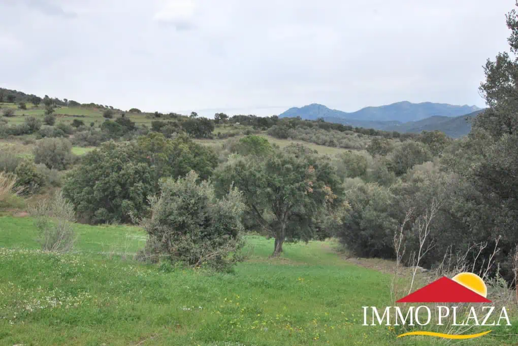 Country house with pool (project in progress) in « Els Villars » – Espolla – photo 19